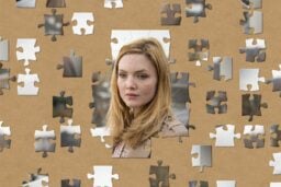 Robin as jigsaw pieces